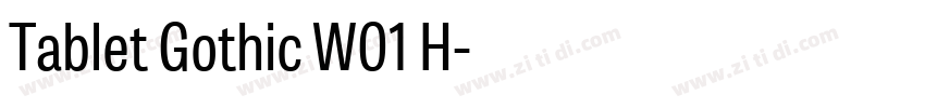 Tablet Gothic W01 H字体转换